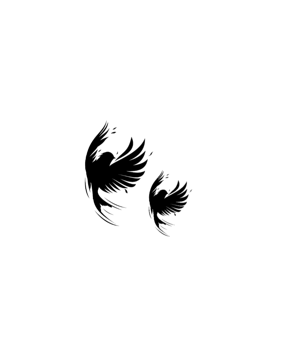 Main Model Photo
